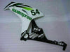 NT Europe Hannespree Injection Green White Mold ABS Fairing Fit for Honda Fireblade 2006 2007 CBR1000RR CBR 1000 RR u036